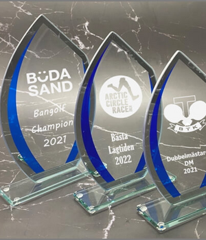 Kristalltrofèer Frame