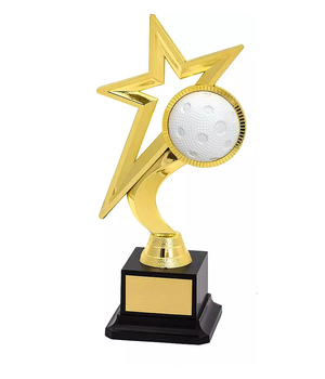 Star Award innebandy